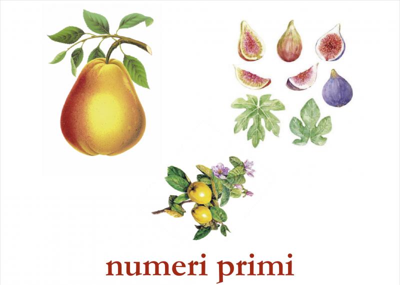 EVENTI NOVEMBRE 2019